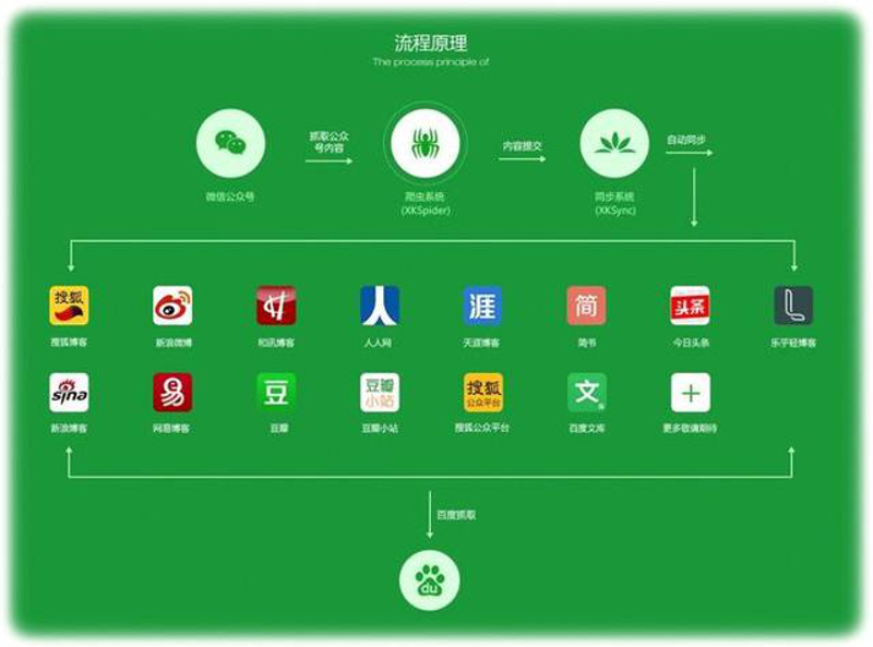 广告投放策略在数字时代的应用